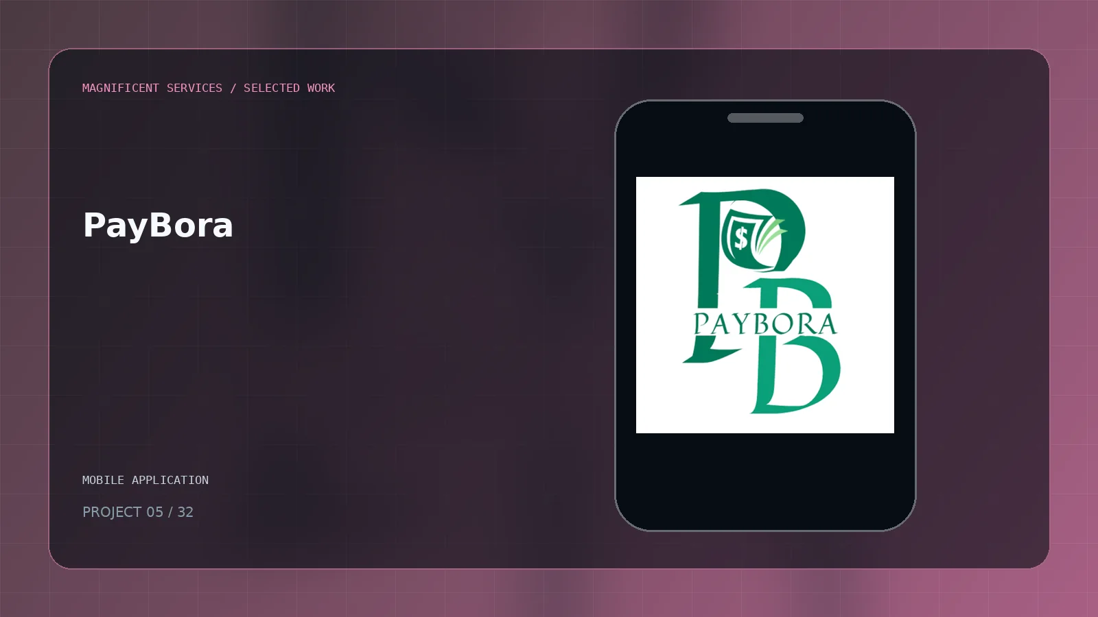 PayBora project cover